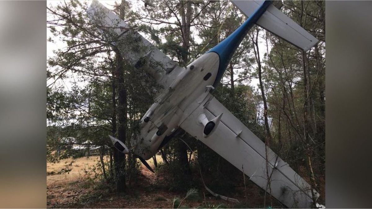 Husband, wife, 2 dogs survive North Carolina plane crash thanks to
