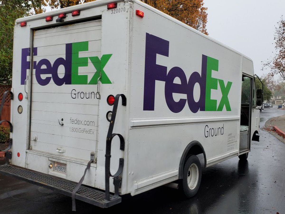 Special Delivery Fedex Driver Finds Lost Dog Returns Her To