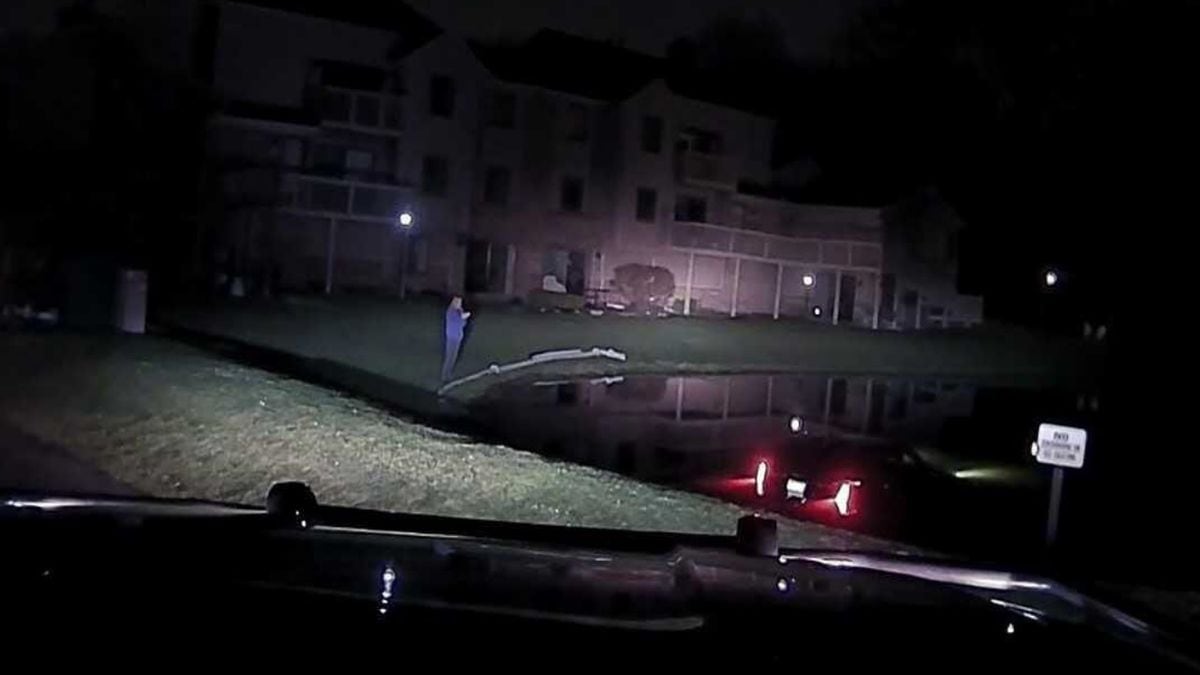 Video shows Michigan officer save 93-year-old man from pond