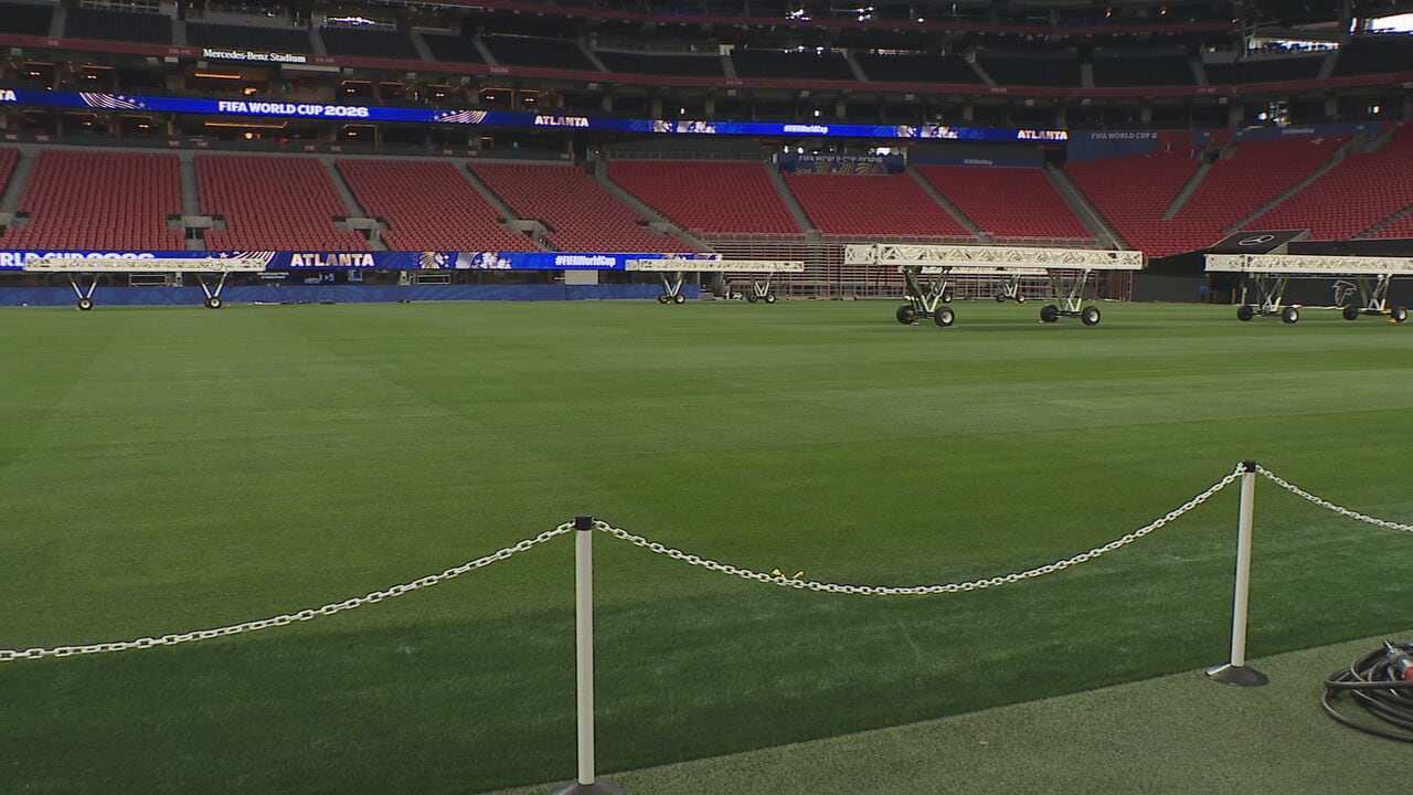 FIFA World Cup: Take a look at the new natural grass playing