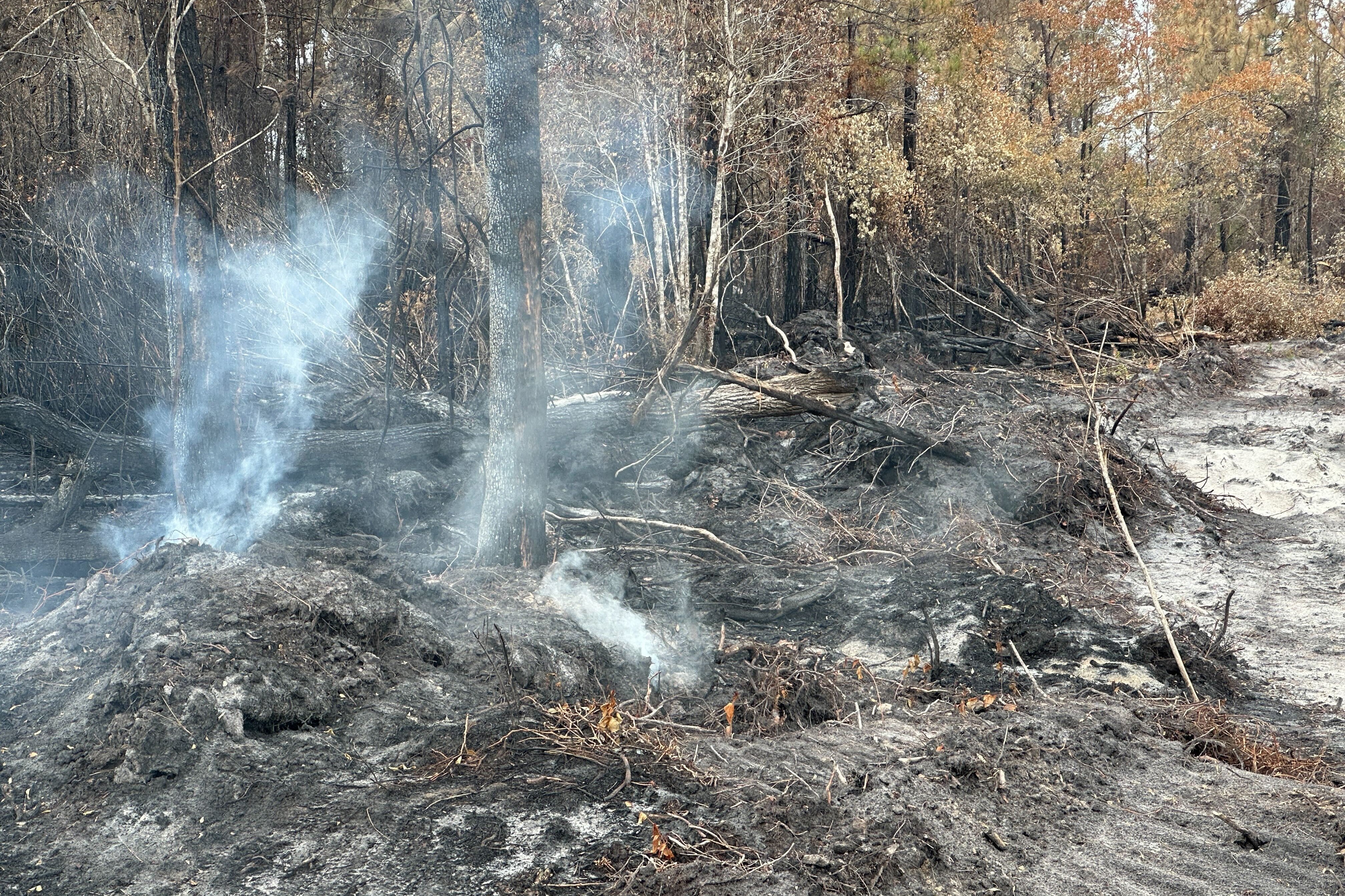 Wildfires and Tech: How Disaster Response Can Shape Your Career