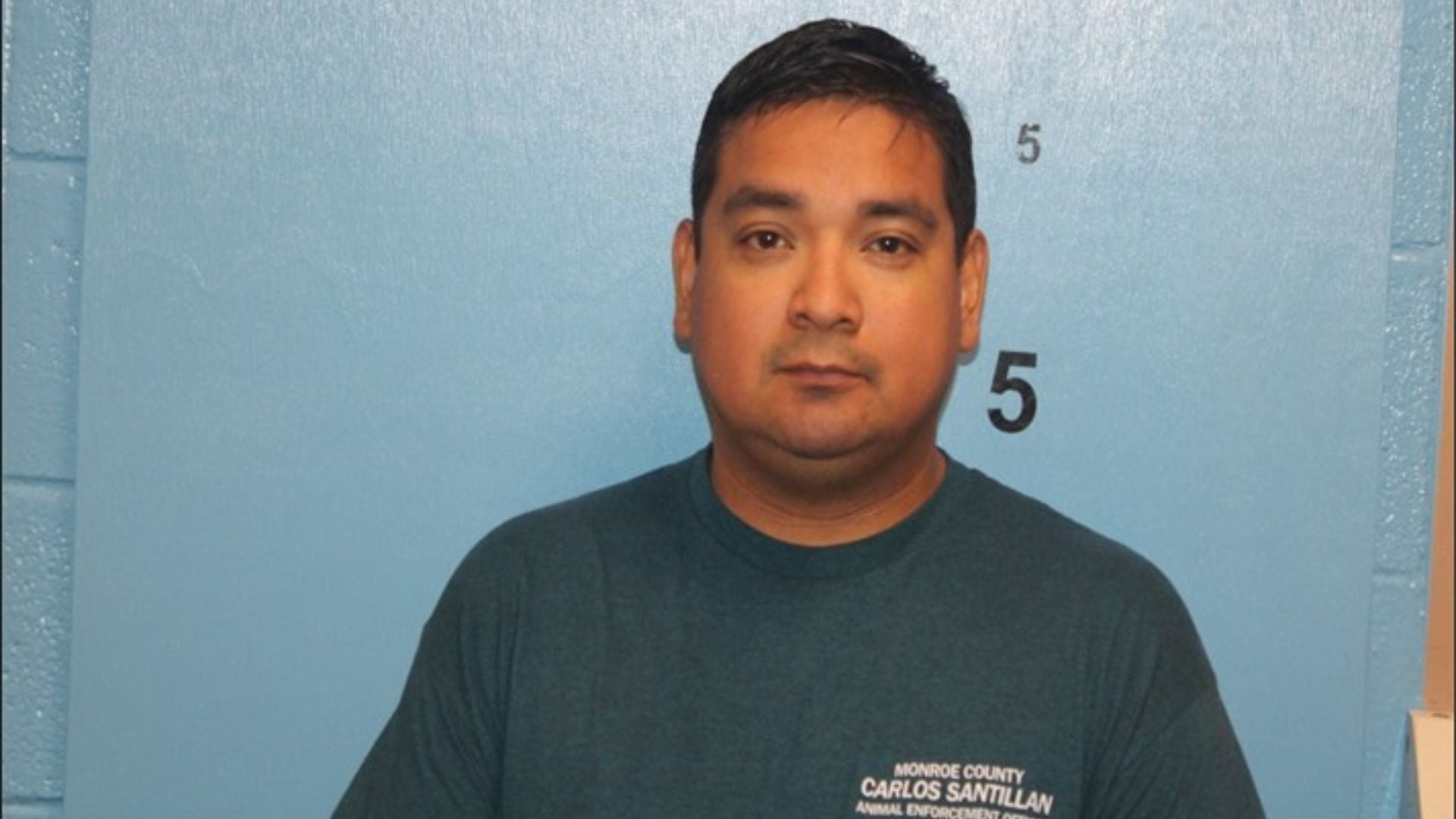 Georgia animal control officer accused of incinerating âpresumably aliveâ puppies