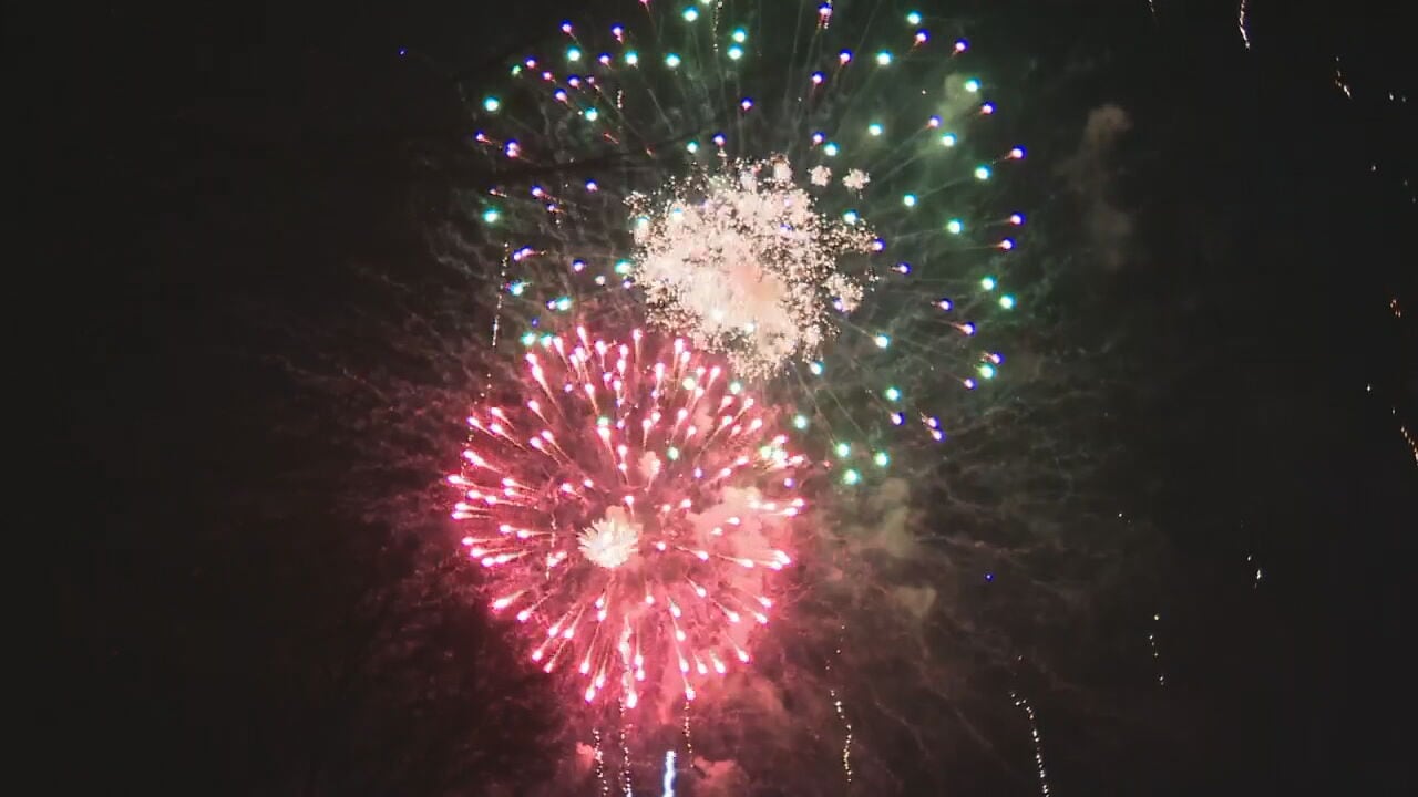 Advice for taking care of pets during fireworks celebrations